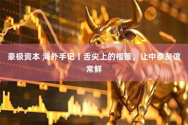 豪极资本 海外手记丨舌尖上的榴莲，让中泰友谊常鲜