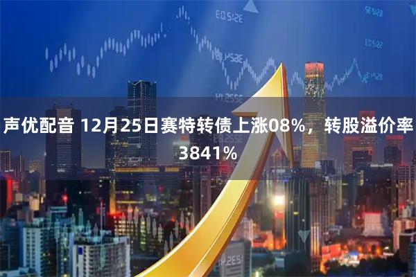 声优配音 12月25日赛特转债上涨08%，转股溢价率3841%