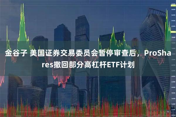 金谷子 美国证券交易委员会暂停审查后，ProShares撤回部分高杠杆ETF计划