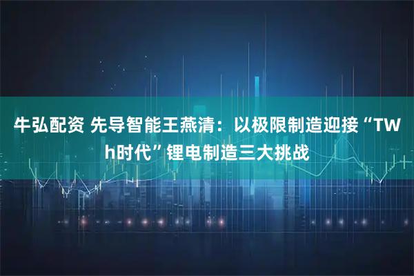 牛弘配资 先导智能王燕清:以极限制造迎接“TWh时代”锂电制造三大挑战