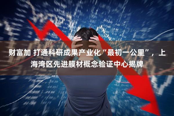 财富加 打通科研成果产业化“最初一公里”，上海湾区先进膜材概念验证中心揭牌