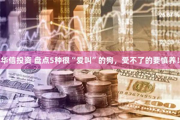 华信投资 盘点5种很“爱叫”的狗，受不了的要慎养！